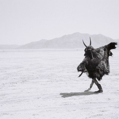 2004_buffalo-boy_shaman-exterminator_15_adrian-stimson
